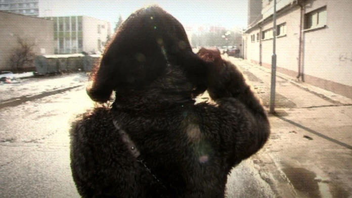 Najstaršia bratislavská prostitútka.