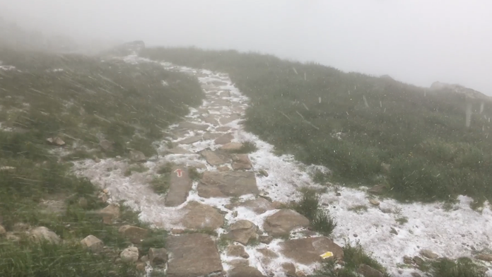 Angela merkelová mala opäť triašku