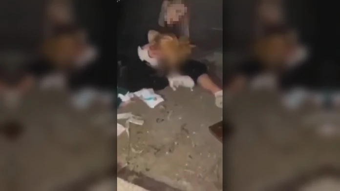 Spoznali sme výpoveď hlavnej aktérky bitky v Miloslavove. Obvinená tvrdí, že 11-ročné dievča vyzliekla omylom