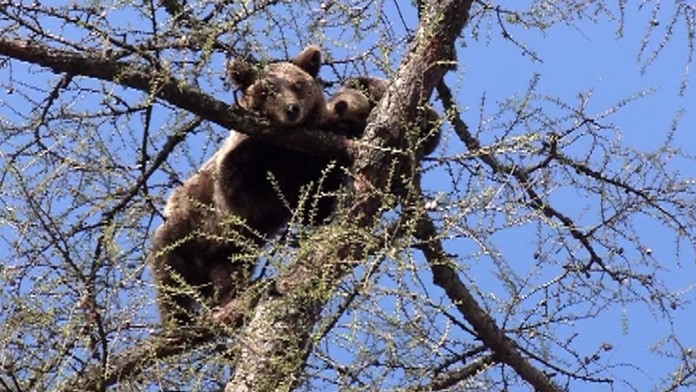 Tieto zábery obleteli Slovensko.