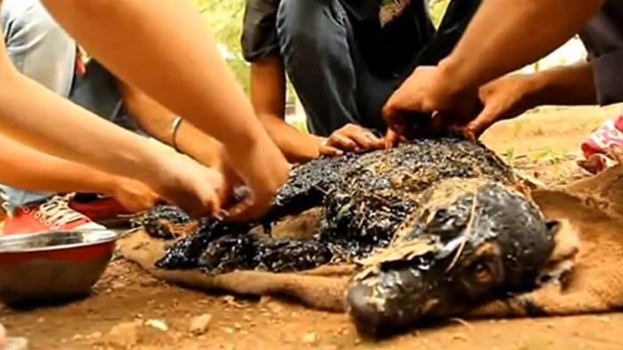 Psíka zachraňovali dva dni