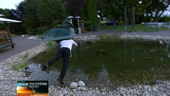 jaro.jpg