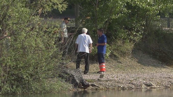 Partia kamarátov bola na rybačke.
