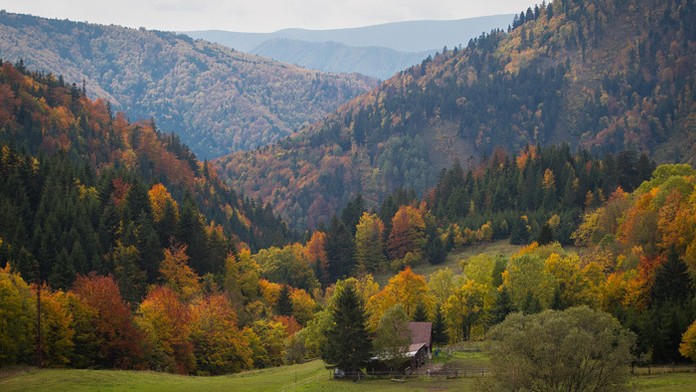 Najstarší zamestnanec bratislavského letiska Jaroslav Marchalín.