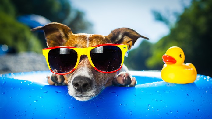 shutterstock_148509158.jpg