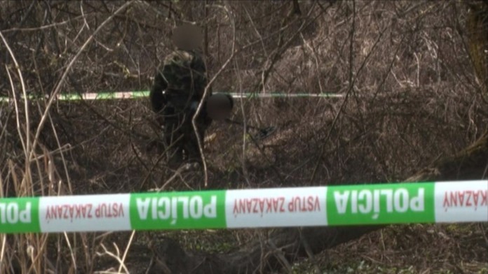 mafiaweb_jpg_bez_watermarku_1.jpg