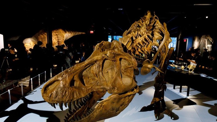 2903_Telerano_29_03_P20_Pi_06_00_uni.mp4