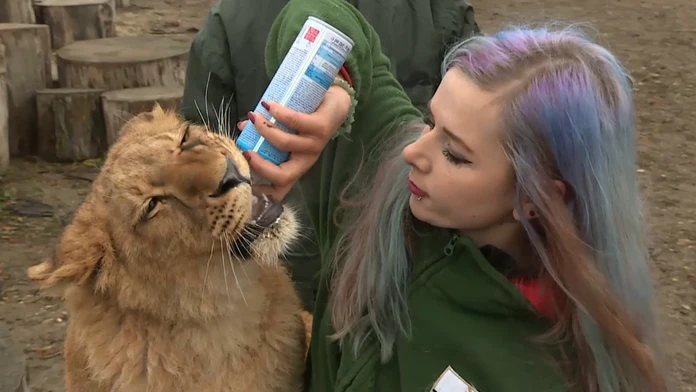 Kontaktná ZOO
