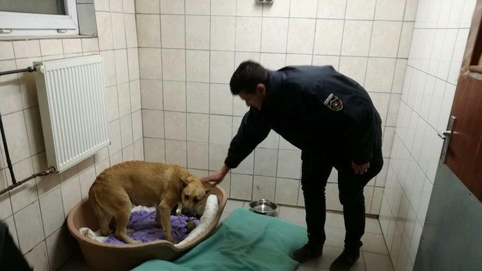 Meghan si užíva pobyt v Kanade. 