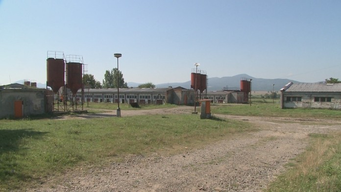 tribula_tvnoviny.mp4