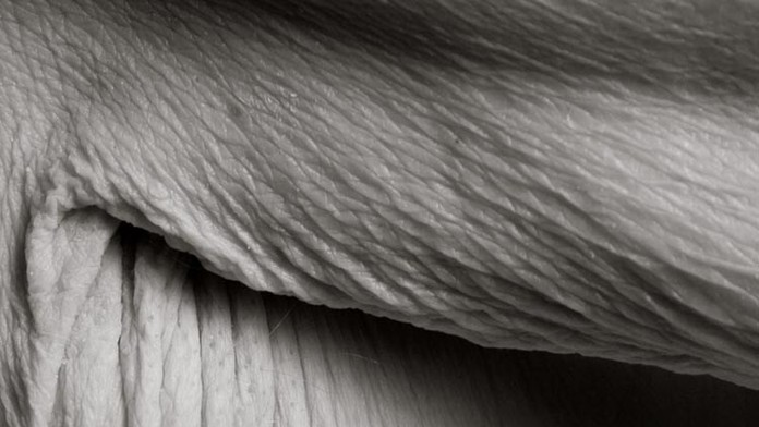 ArmpitL.jpg
