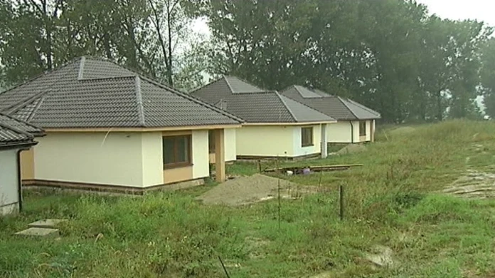 19 Arabska kolonia.transferweb_jpg_bez_watermarku_1.jpg