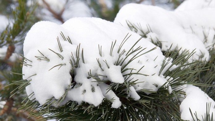 Ilustračná snímka