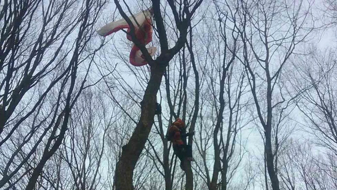 Paraglajdista na strome.