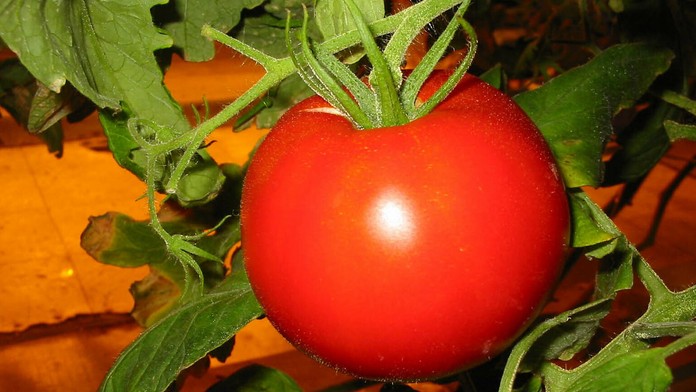 Ilustračná snímka.