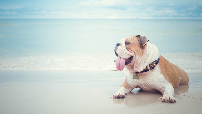 Ilustračná snímka.