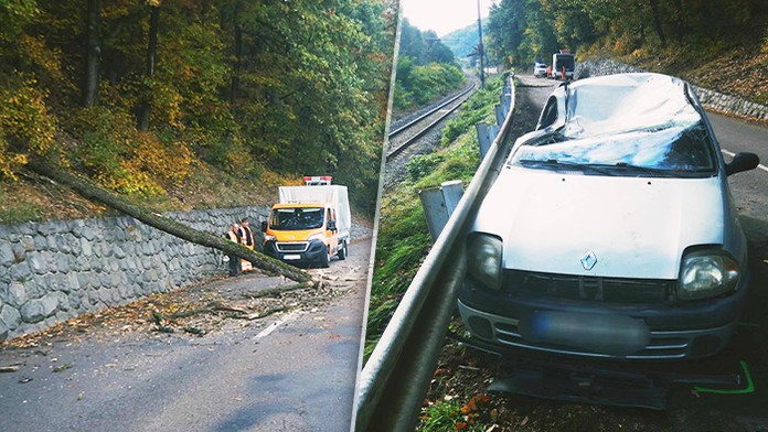 Na ženu spadol počas jazdy strom.