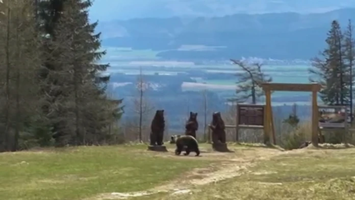 Uzatvoria sa turistické chodníky v Tatrách?