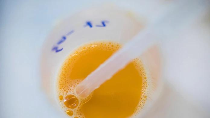 Testovanie rozbitého vajca v laboratóriu na Fipronil.
