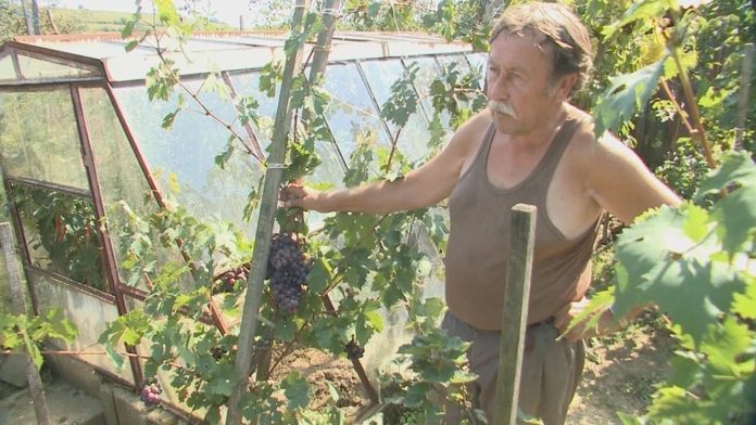 Ladislav Papcun