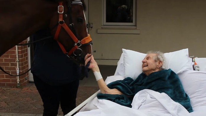 Patrick (87) túžil iba po jedinom - nakŕmiť koňa.