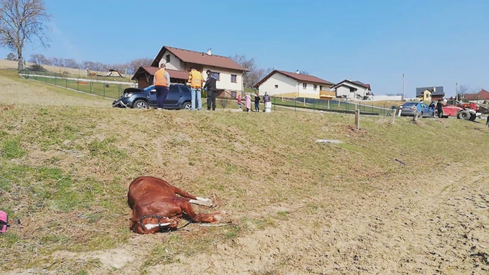 Nehoda auta s koňom v Motešiciach.