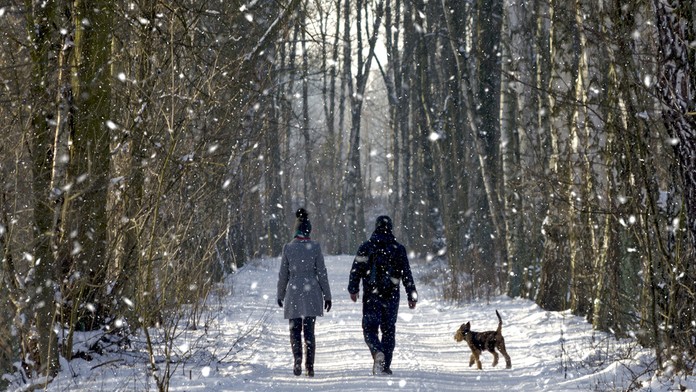 Ilustračná snímka