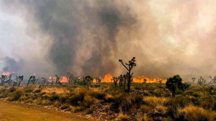 Oheň zachvátil prírodnú rezerváciu v Kalifornii.