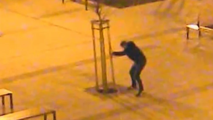 vandal.jpg