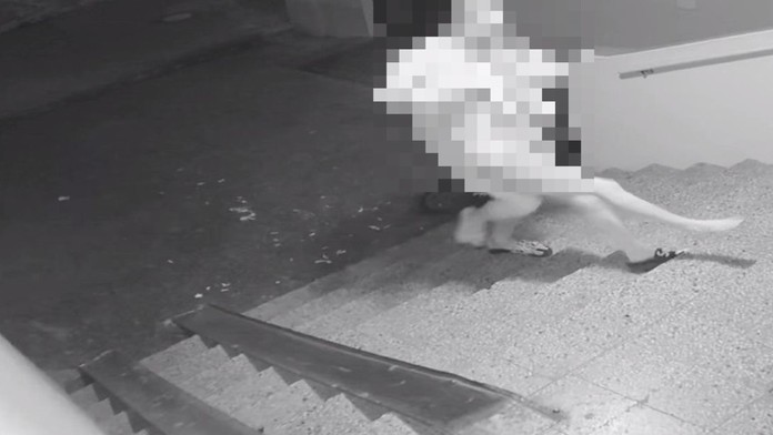 Vlajka na stožiari pred parlamentom.