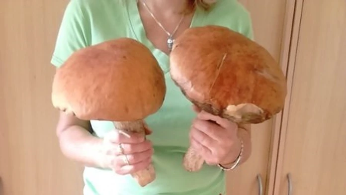 Nádherny úlovok