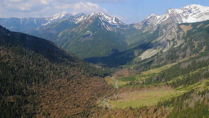 23052014Tatry_kalamita_6153781.jpg