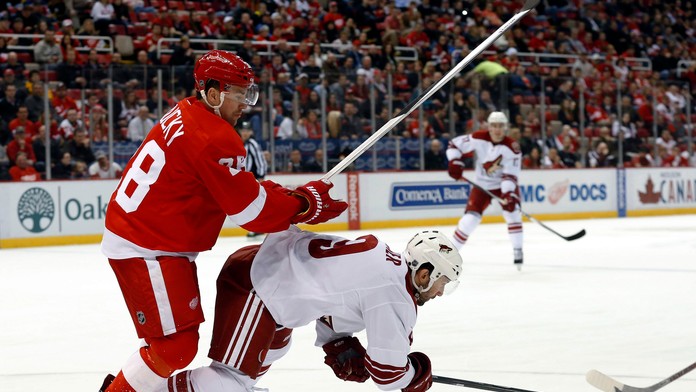 Český obranca Detroitu Marek Židlický zráža útočníka Arizony Sama Gagnera