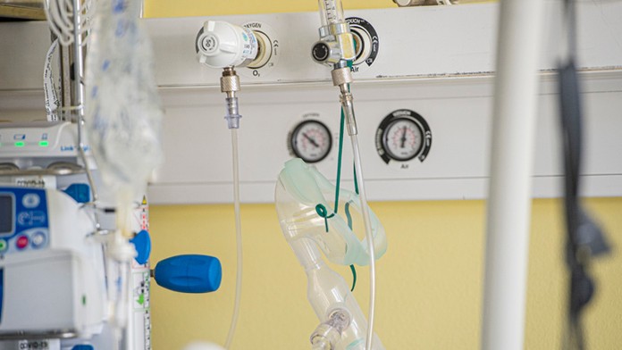 Dominika Kavaschová  