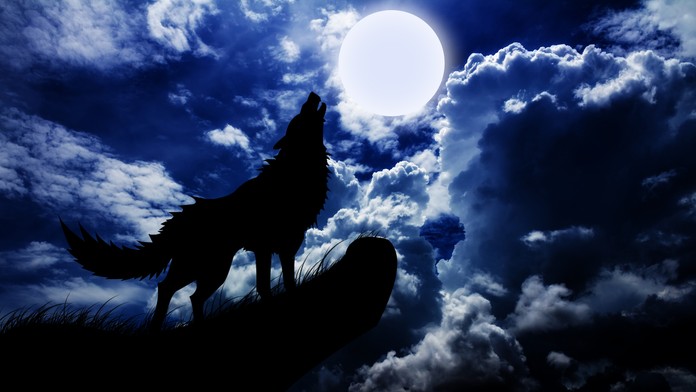 Vlkodlačia diéta j hitom. Odborníci nie sú nadšení. 