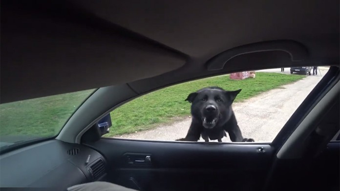 Miriam Kalisová a Michal Menkyna