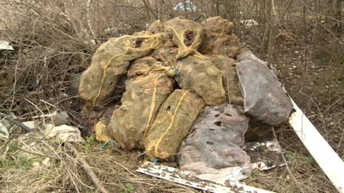 17 KE Prasacinky 2 DEMO.transferFOTOweb_jpg_bez_watermarku_1.jpg
