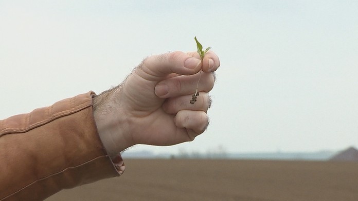 Ilustračná foto.