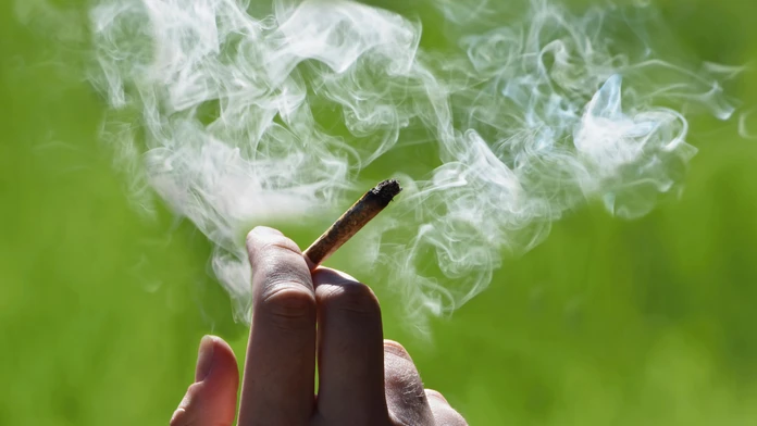Marihuana - ilustračná snímka 