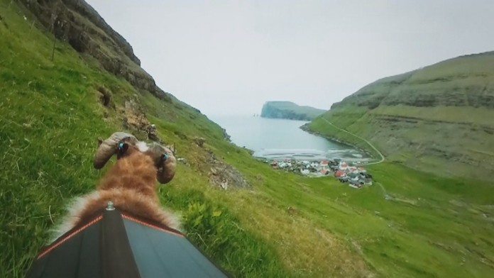 Nemci na nich zarábajú.