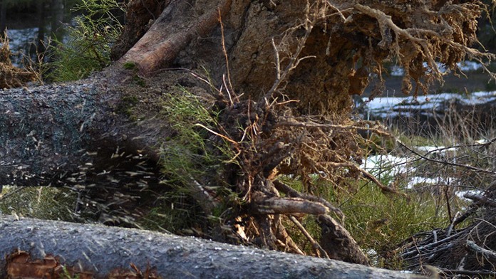 Ilustračná snímka.