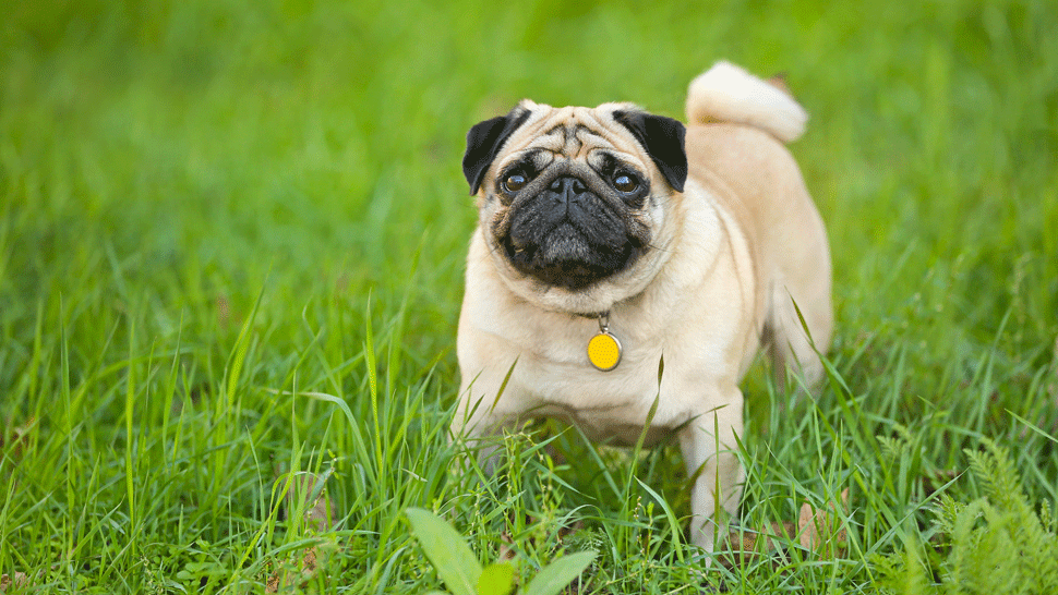 Ako budu travit leto herci z Oteckov_kompl.mp4