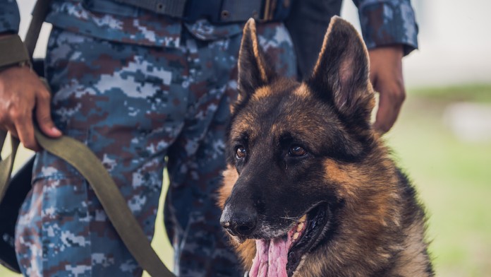 Premena Jaroslava Fotula