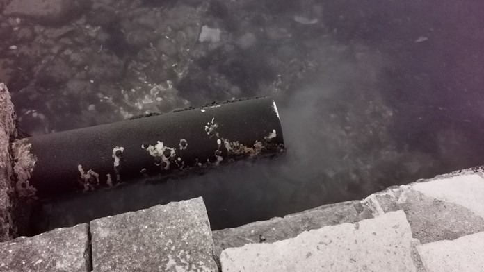 Video z Chorvátska: Keď toto turisti videli, nemali ani chuť okúpať sa v mori