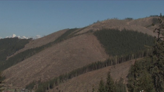 Zahraničné správy