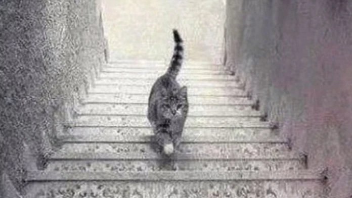 2765AABA00000578-0-image-a-3_1428581597867.jpg