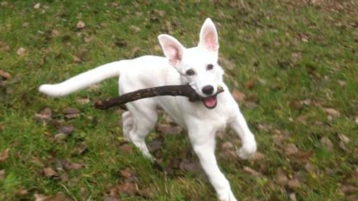 320839_10201139921162457_1246670236_n.jpg