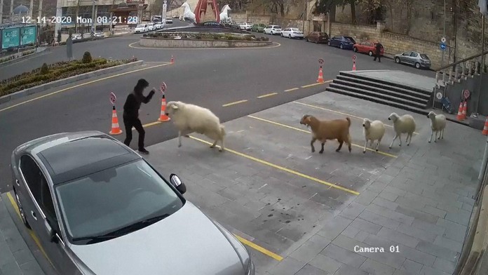 Hasiči vyťahujú z rieky auto, v ktorom zahynulo sedem ľudí.