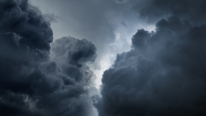 Reflex, Zmizli im psy