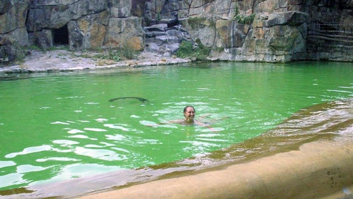 Žena pláva medzi uškatcami v zoo.